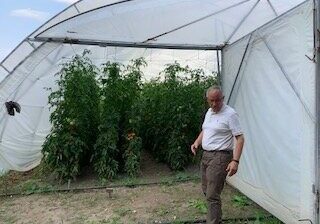 Greenhouse
